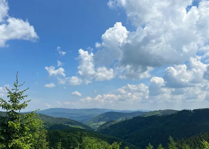 Apartamento Luźnagro Góry Sowie *